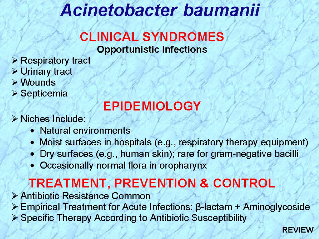 Acinetobacter baumanii REVIEW